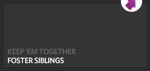 Foster a Sibling Group