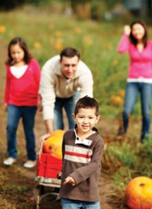 223x304-pumpkin_patch
